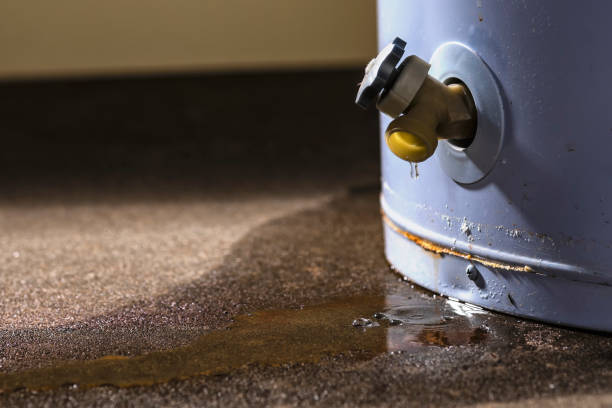 Best Commercial water damage restoration  in Corvallis, MT