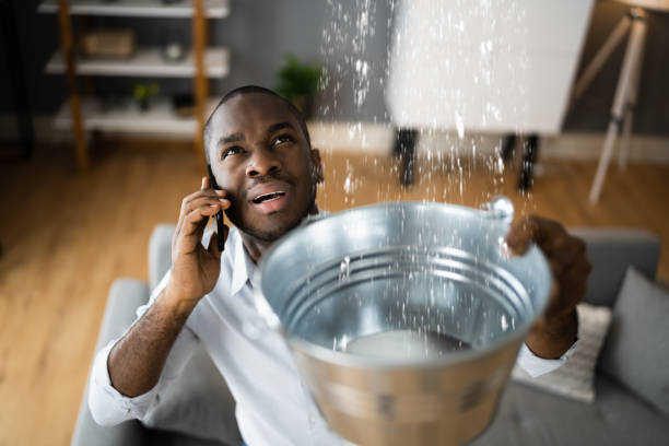Best Flood restoration services  in Corvallis, MT