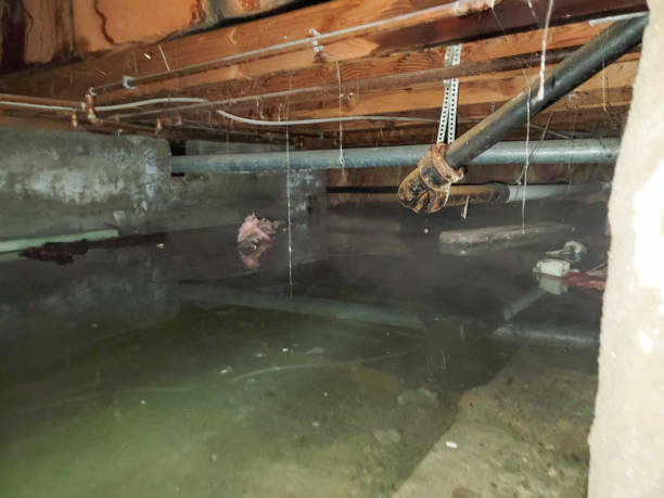 Best Commercial water damage restoration  in Corvallis, MT