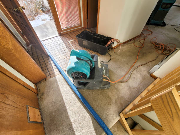 Best Carpet water damage restoration  in Corvallis, MT
