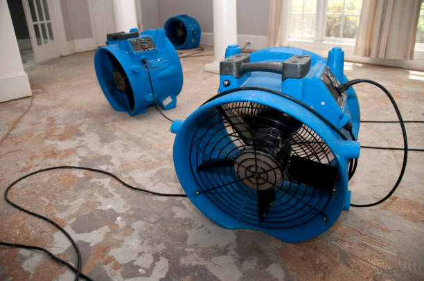 Best Professional water damage repair  in Corvallis, MT