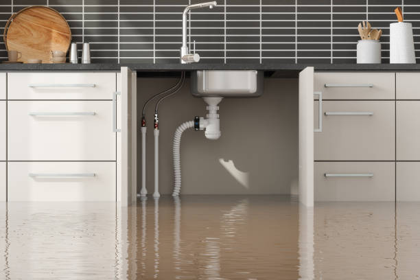 Best Basement water damage restoration  in Corvallis, MT